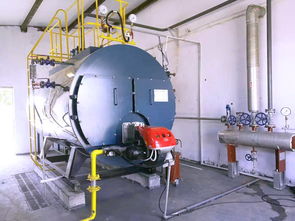 8噸燃?xì)忮仩t運(yùn)行費(fèi)用計(jì)算及報(bào)價(jià)分析